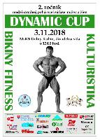 II. ročník Dynamic cup - pohárová súťaž mužov a žien - 3.11.2018 - Dolný Kubín - SK